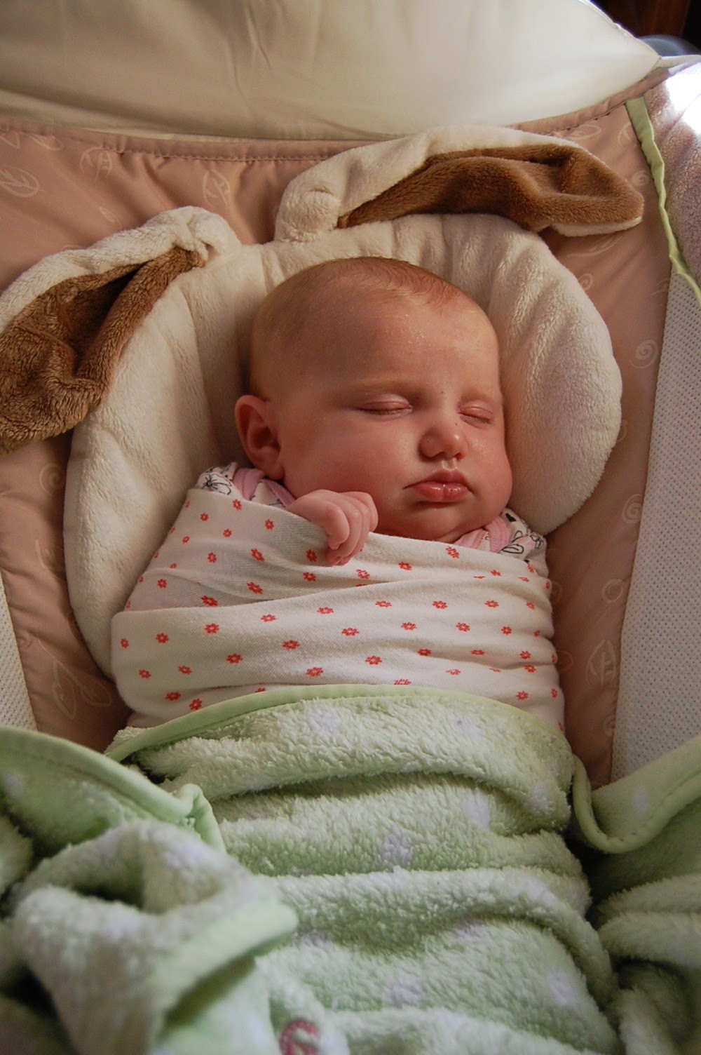 Our Forever Family Baby Houdini