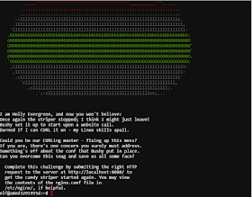 Echo 0xhat Security January 19