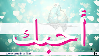Latest greetings in Arabic on Love Proposals 