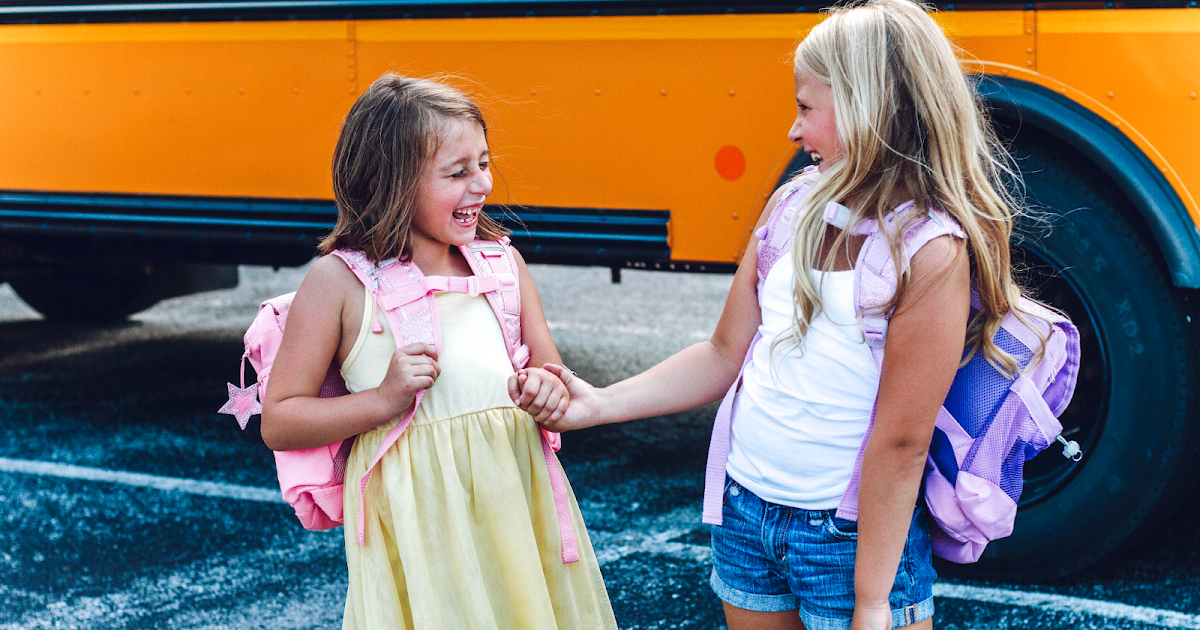 bixbee backpack review