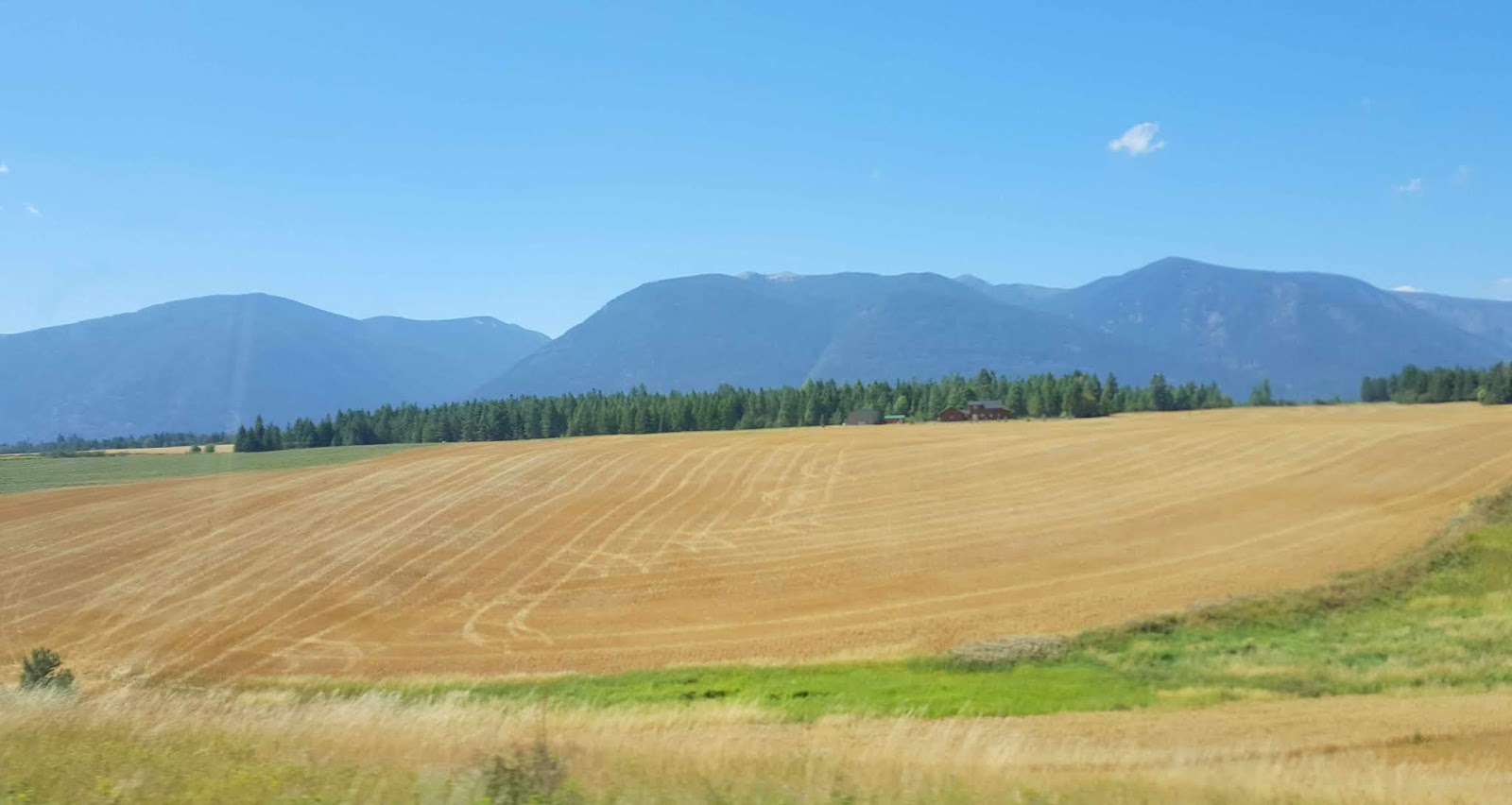 Wandering His Wonders Crossing the Border We're Back in the USA!