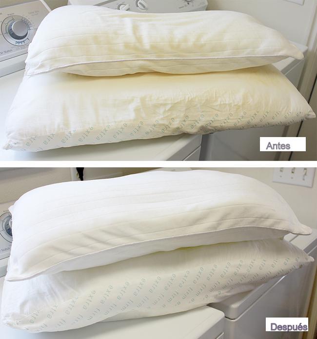 diario tipo Napier La de los truquillos: Quitar manchas amarillas de sudor de la almohada,  funda y sábanas.