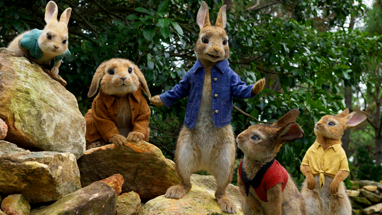 Peter Rabbit 1920x1080 Wallpapers Full HD Backgrounds