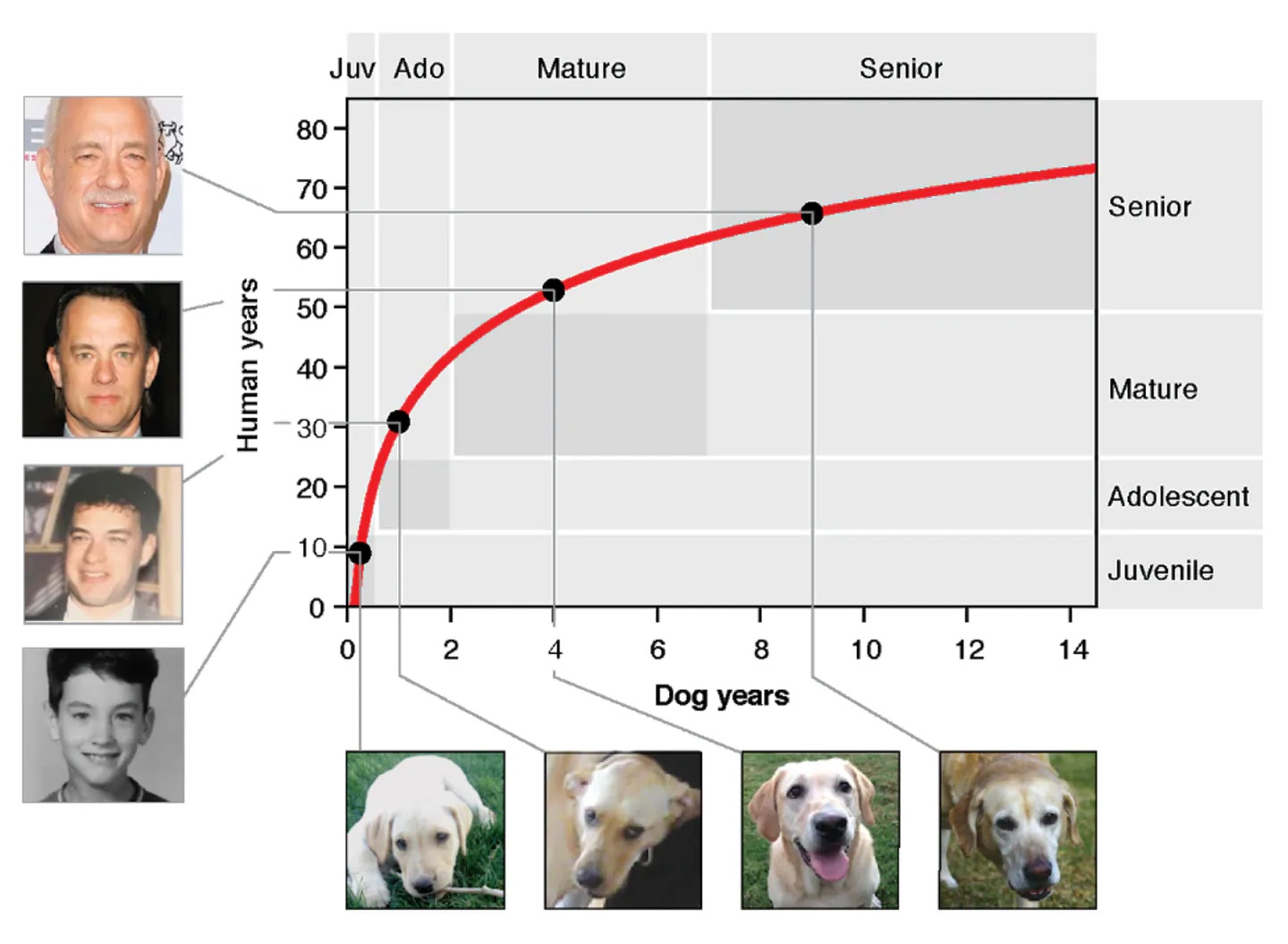 Helge Scherlund's eLearning News Scientists have come up with a better