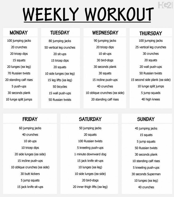 Full Body Workout At Home Without Equipment Weekly Workout Plan