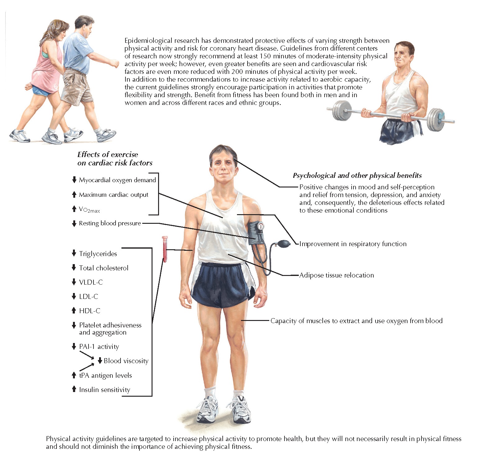 EFFECTS OF EXERCISE ON CARDIOVASCULAR HEALTH pediagenosis