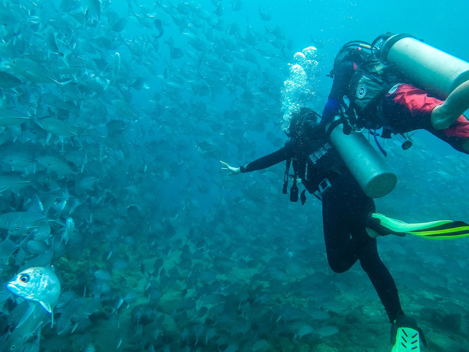 Discover Scuba Diving at Bauan, Batangas Project Gora