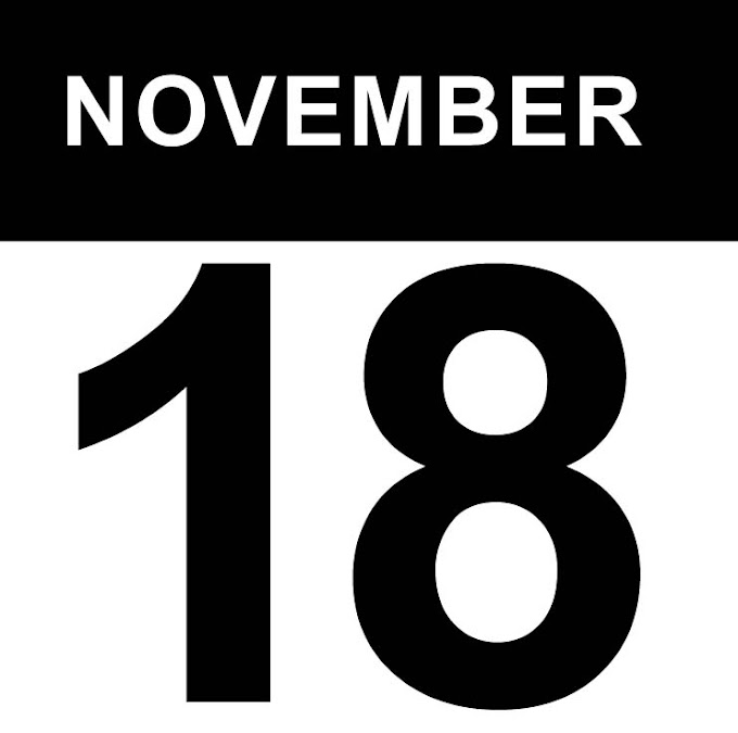 Moth Of January moth-of-january