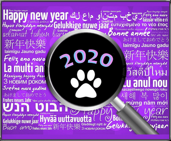 Cat GIF • Happy New Year 💋 2020 to all Cat 💖 lovers and their Cats 🐈 and Kitties 😺 all over the World (6 of 10) Cat GIF • Happy New Year 💋 2020 to all Cat 💖 lovers and their Cats 🐈 and Kitties 😺 all over the World (6 of 10)