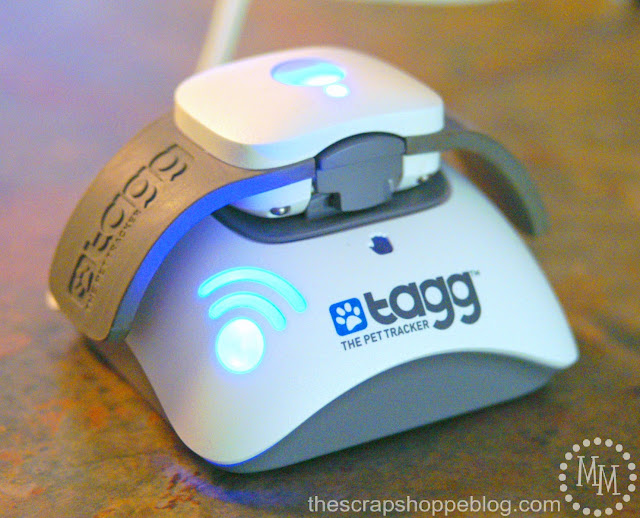 tagg pet tracker dock