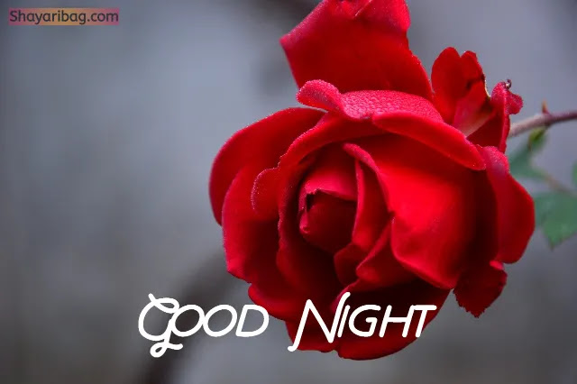 Good Night Images Good Night Images
