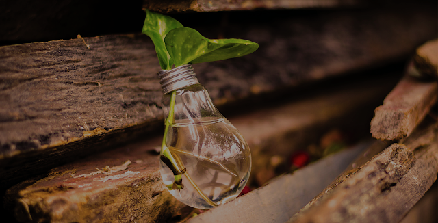 Drinking Water Market