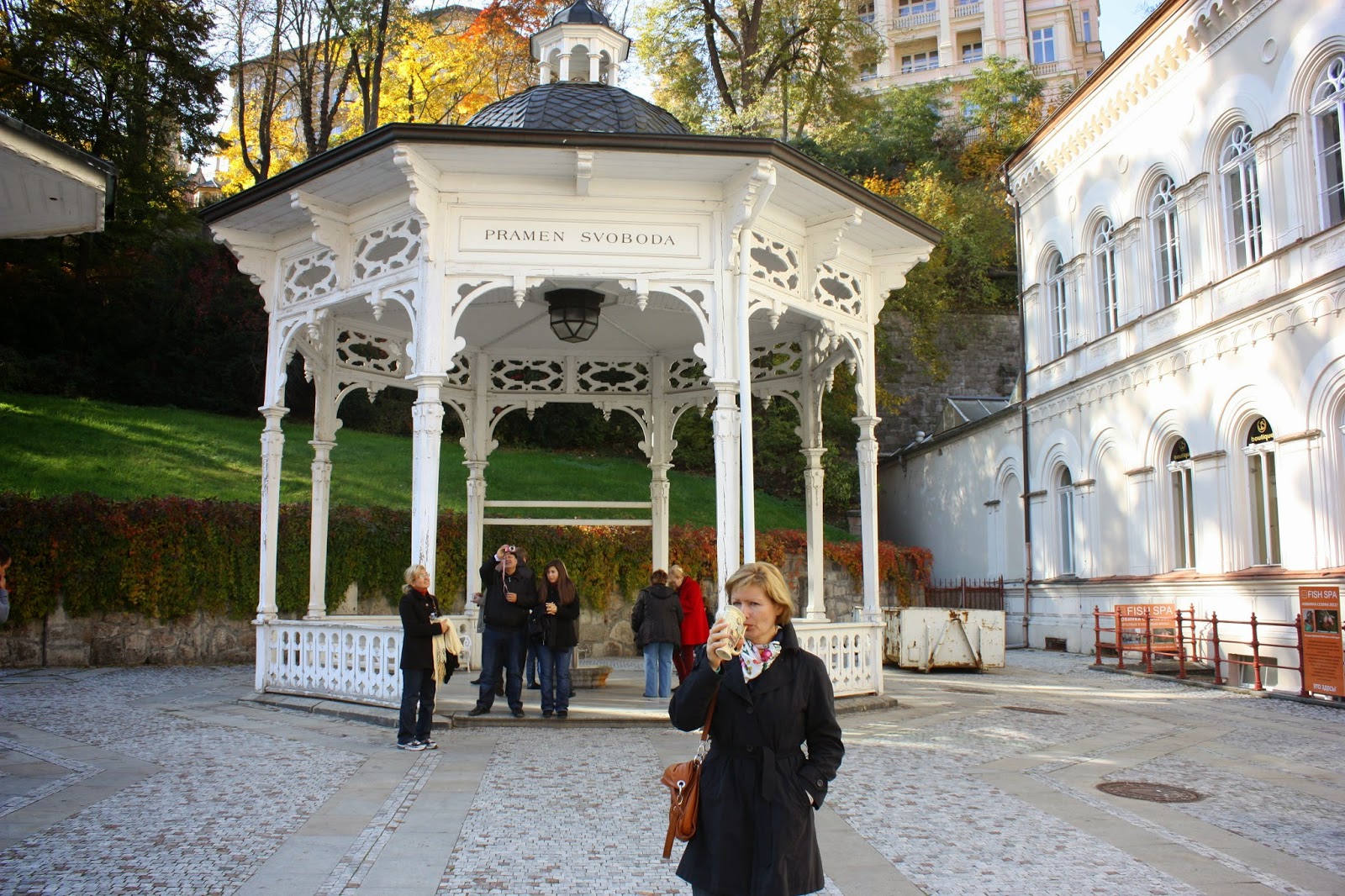 Карловы вары горы