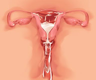 [CG] My Yandere Sister loves me too much!