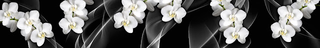  Белые орхидеи на черном скинали