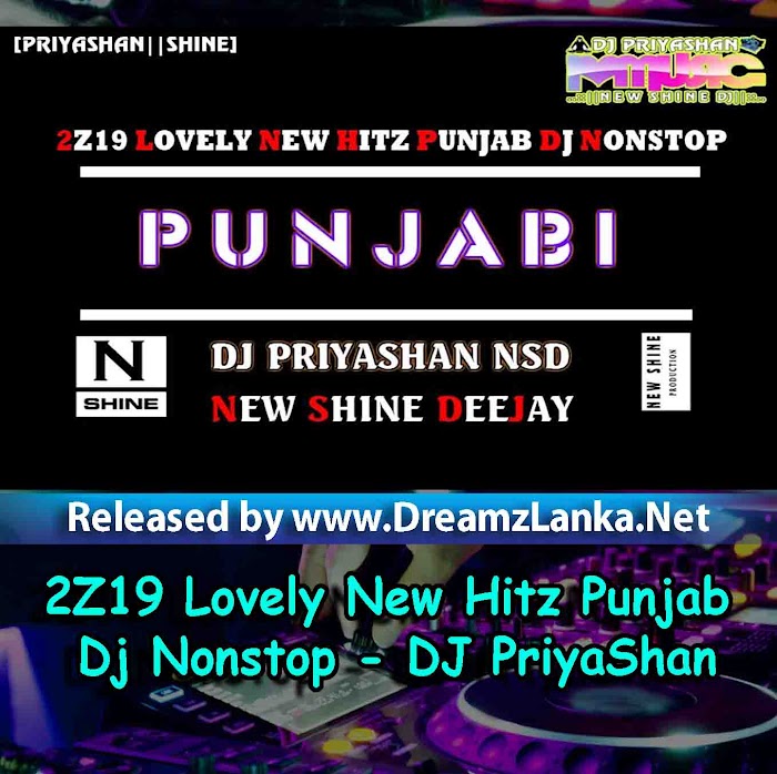 2Z19 Lovely New Hitz Punjab Dj Nonstop - DJ PriyaShan