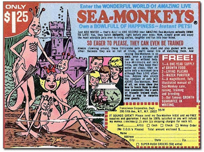 Sea Monkeys