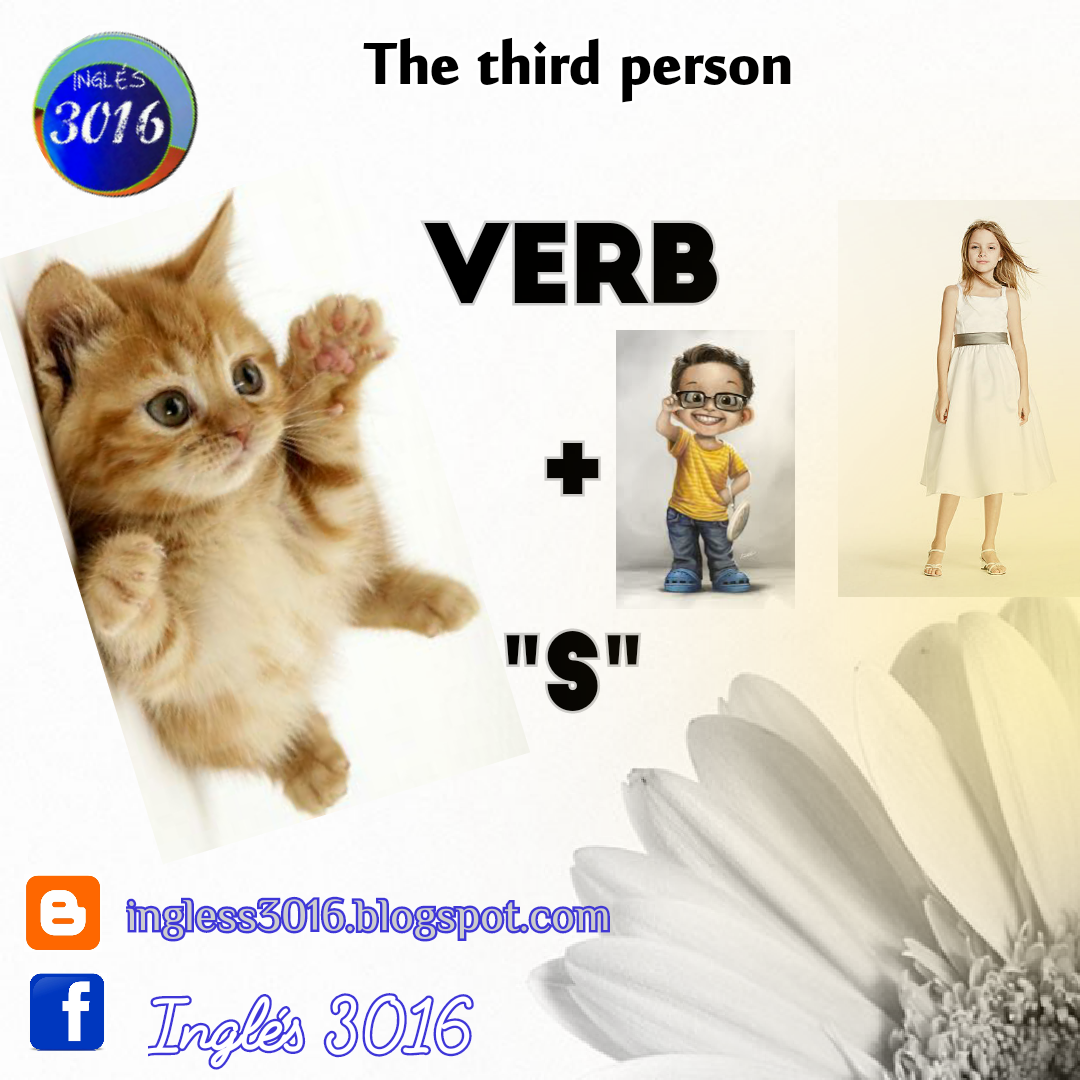 Inglés 3016: Las 5 regalas que debes usar con la tercera persona en el  idioma inglés.