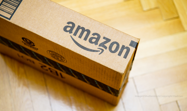 Amazon: How big is it?