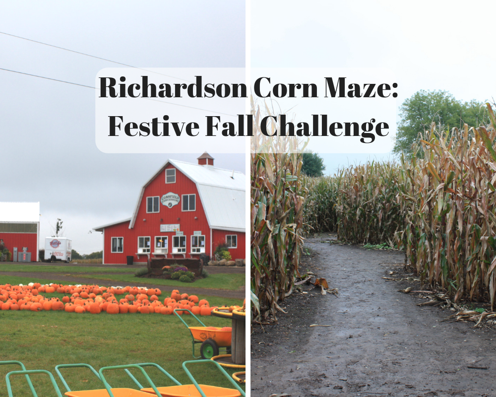 A Little Time and a Keyboard Richardson Corn Maze Festive Fall Challenge