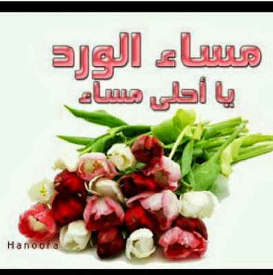 مساء الخير والود والحب  Good evening images