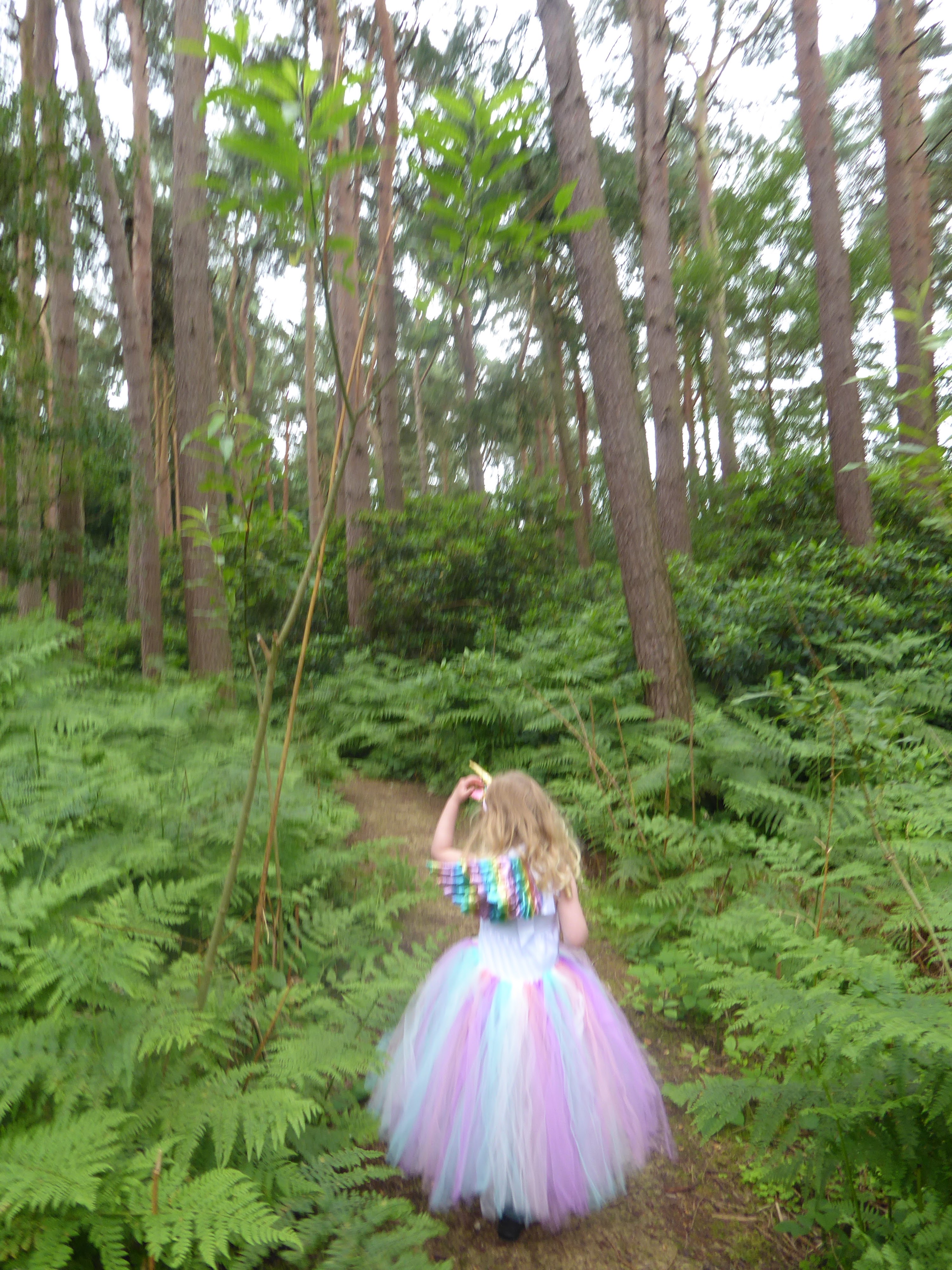 Lifestyle Finding magic at Northwood Fairy Trail The Inspiration Highway