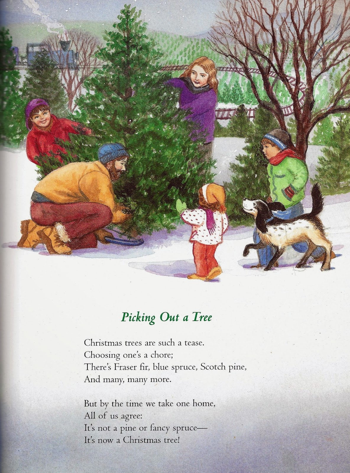 Father Goose Books Picking Out a Christmas Tree