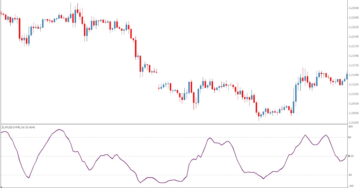 Mv forex
