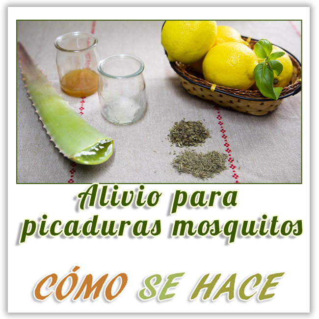 REMEDIOS PARA LAS PICADURAS DE MOSQUITOS