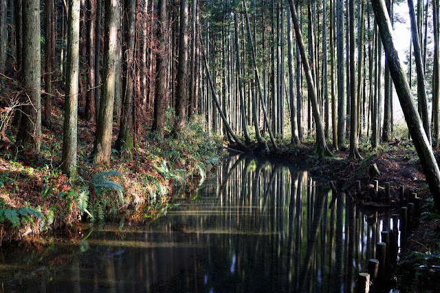 #photo #landscape #sigma #foveon #sdquattroh #japan #yamagata #yuza #写真 #風景写真 #山形帝國 #山形県 #遊佐町