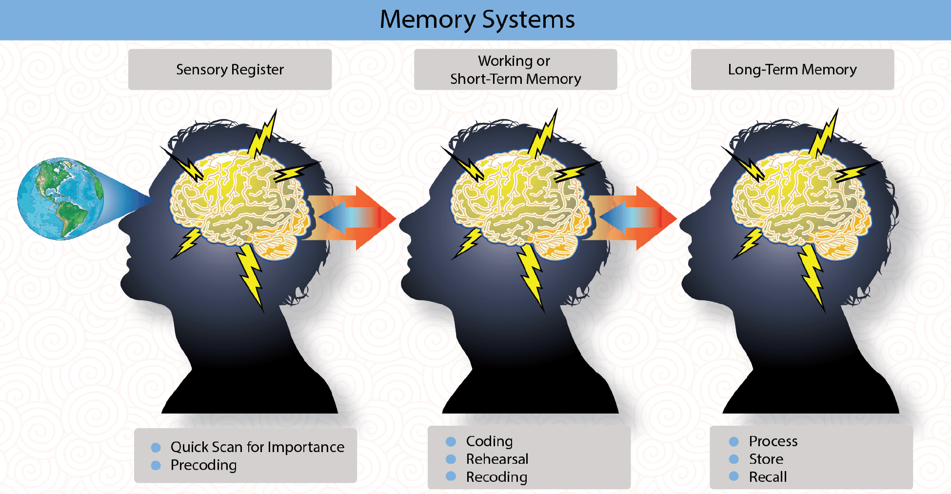 Memory - The Learning Process