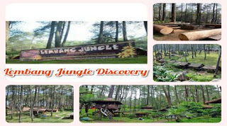 Penginapan Villa Istana Bunga dekat Lembang jungle discovery bandung