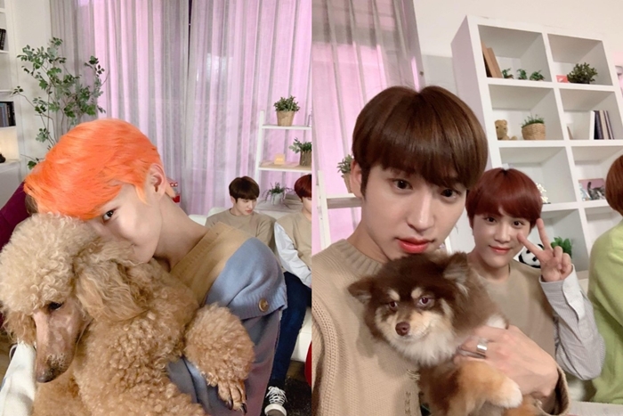 어제자 댕댕이랑 만난 인간 댕댕이 남돌 | 인스티즈