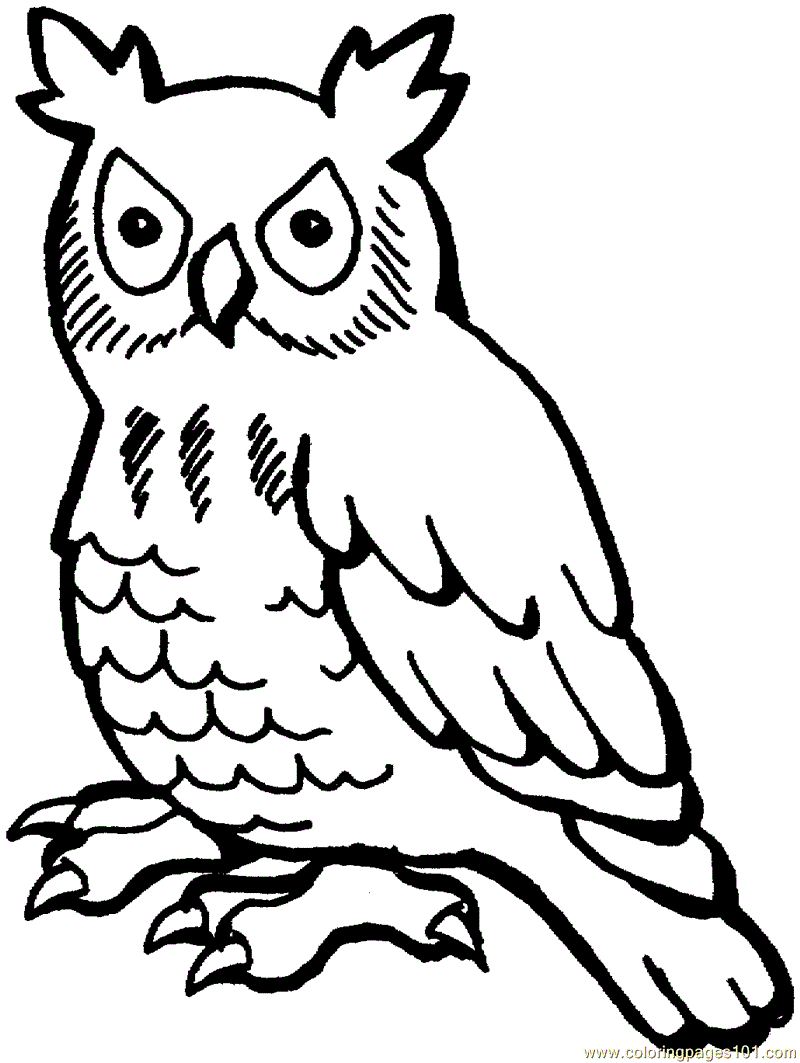 Printable Owl For Kids