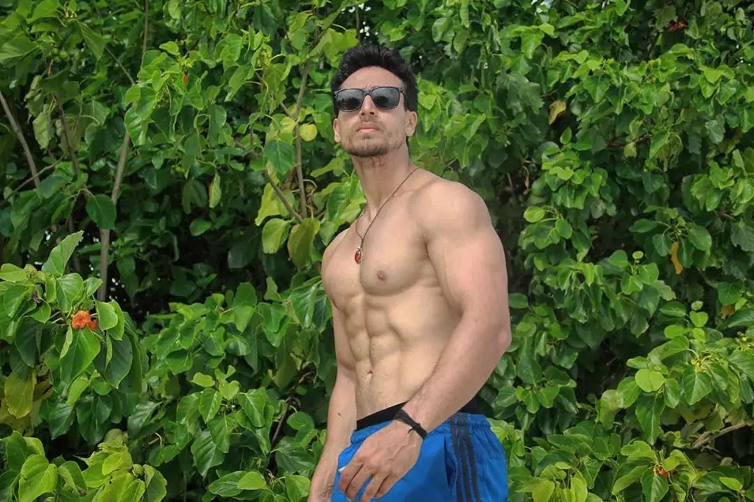 Tiger Shoff Latest New Hd Photos Images Wallpapers Filmy Shock Also find latest tiger shroff news on etimes. tiger shoff latest new hd photos