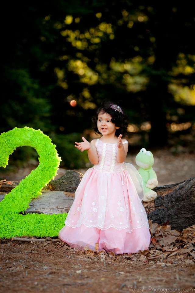 meet the bordons Number Prop Tutorial