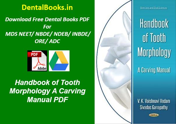 Handbook of Tooth Morphology A Carving Manual PDF