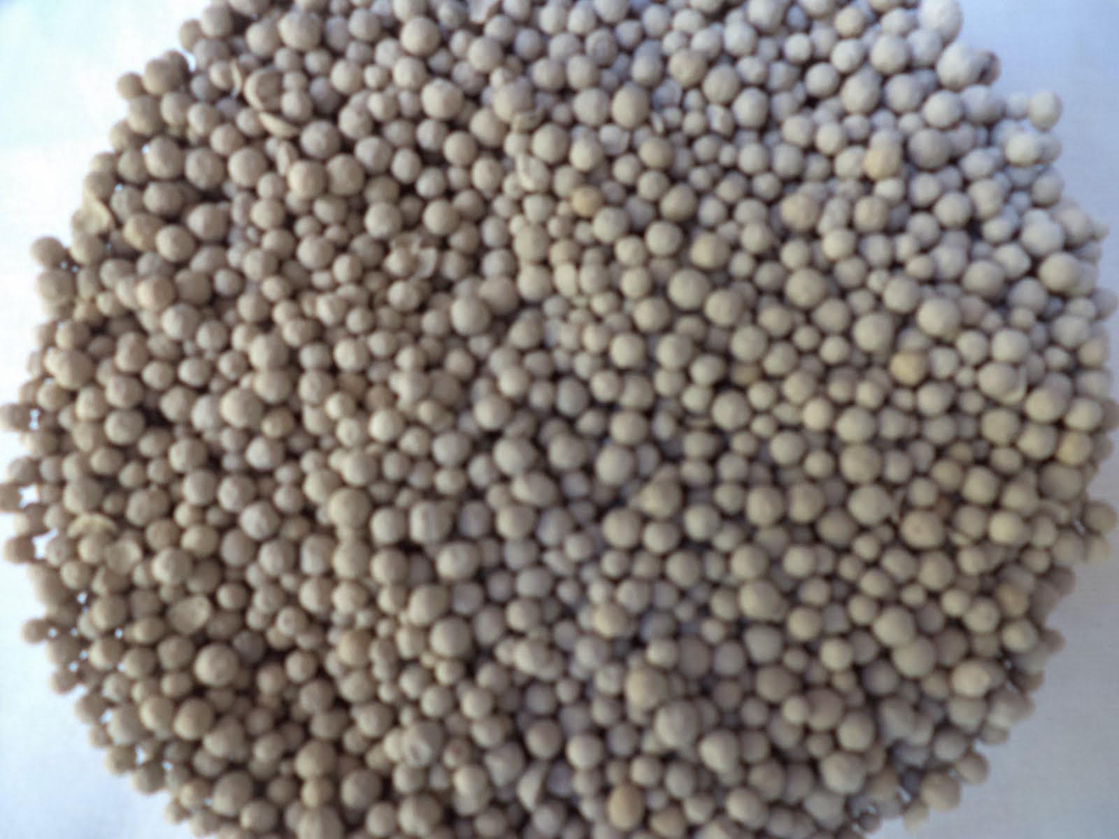 SILICA GEL_____ SIGEV Solutions Que es el silica gel y para que sirve