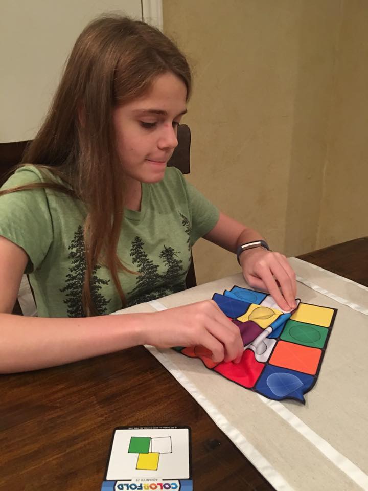 Homeschool Happenings: Color Fold Logic Puzzle