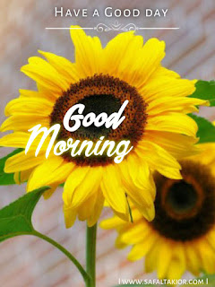 Good morning sunflowers images