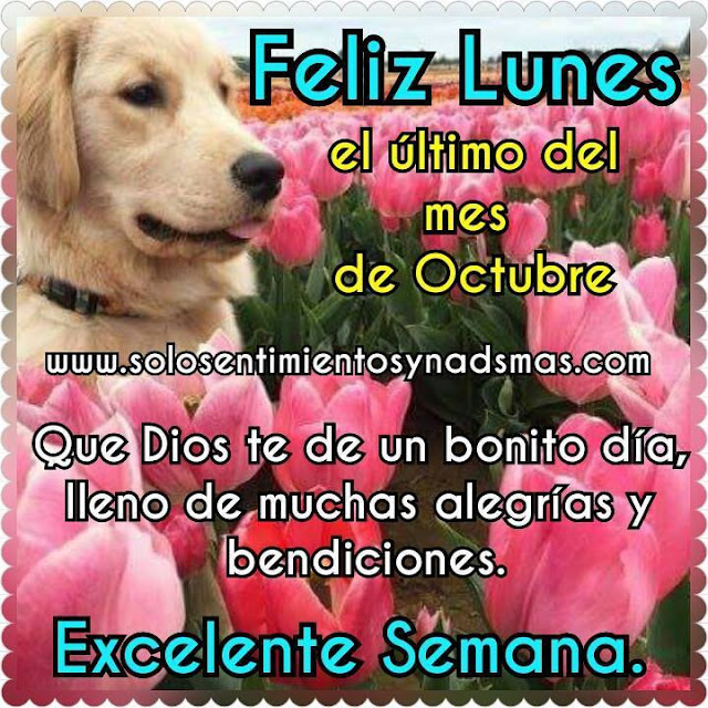 Feliz lunes.