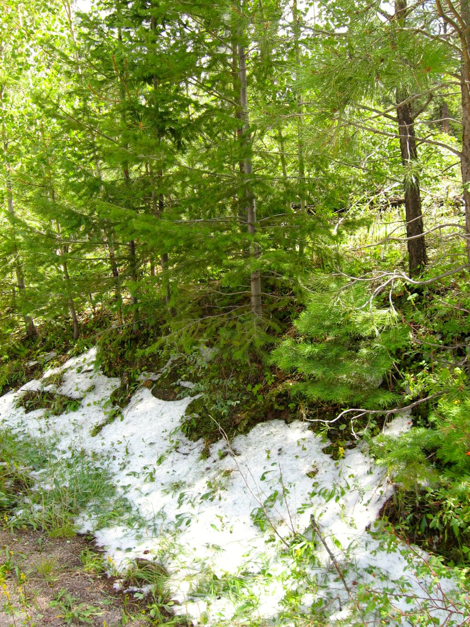 Los Alamos, New Mexico