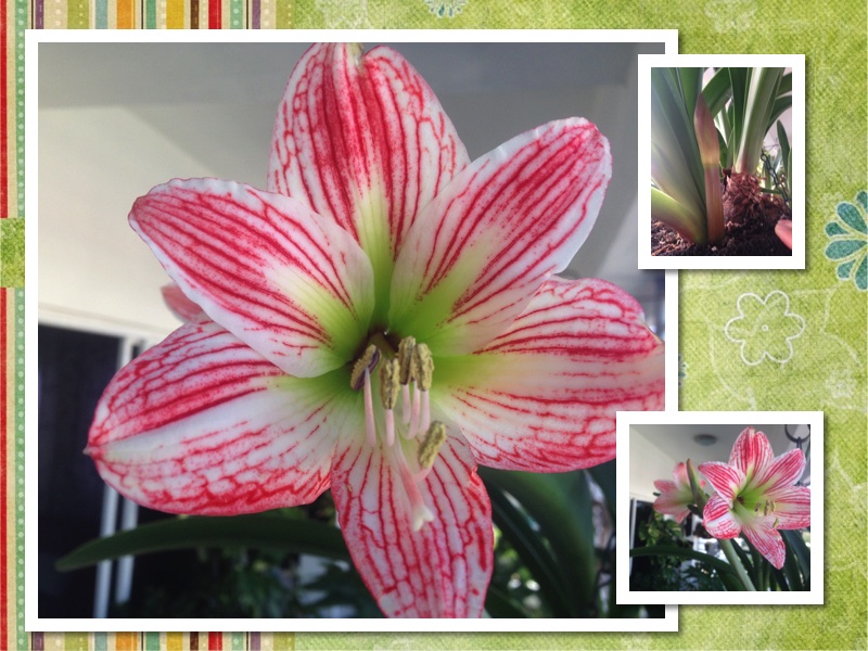 DISFRUTANDO LO QUE TENEMOS AHORA