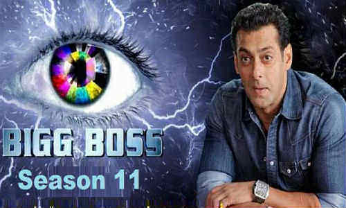 Bigg Boss S11E45 HDTV 480p 140MB 14 November 2017