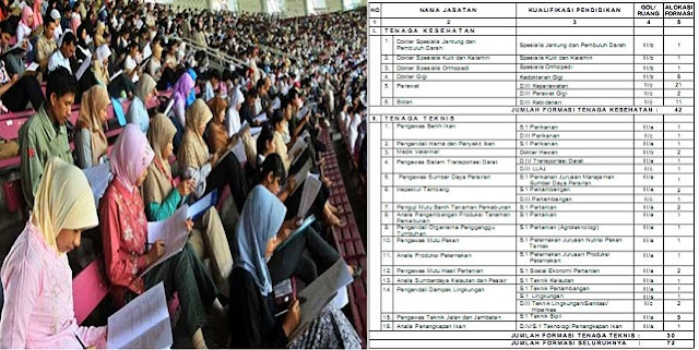 Daftar Rincian Formasi CPNS Tahun 2016