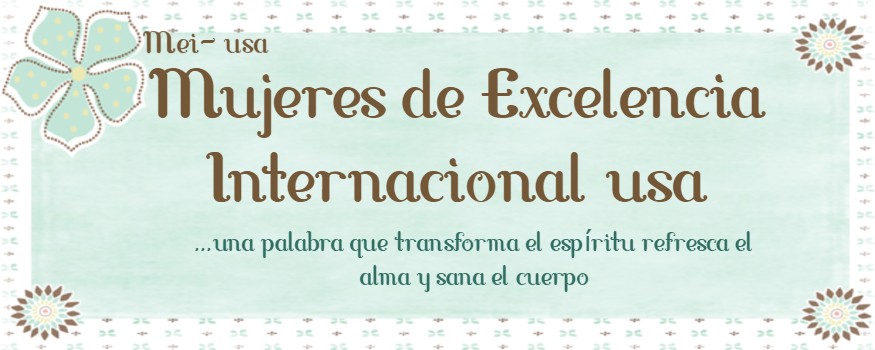 MUJERES DE EXCELENCIA INTERNACIONAL     MEI-USA