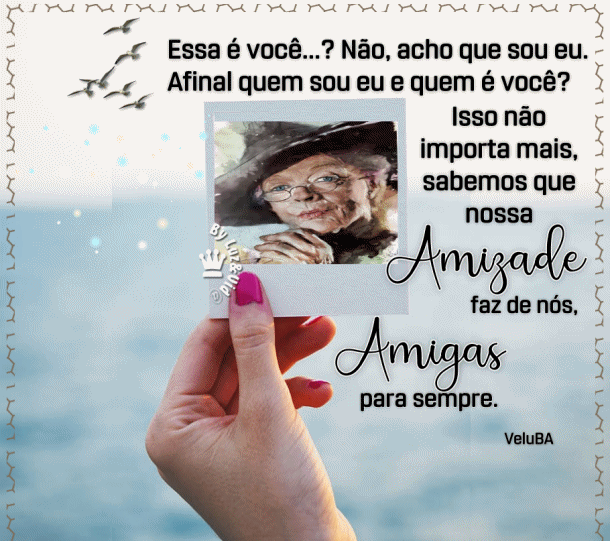 NOVO87%2B%2B%2528MB%2529maryluz.gif