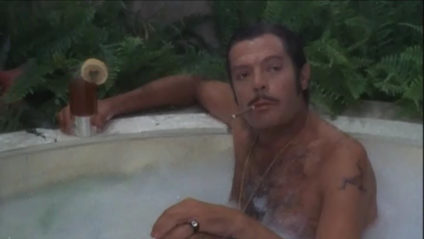 A GAROTA DO CHEFE (DUBLADO/DVD-RIP) – 1975 A%2BGarota%2Bdo%2BChefe%2B1975%2BDublado.mkv_snapshot_00.11.36.195