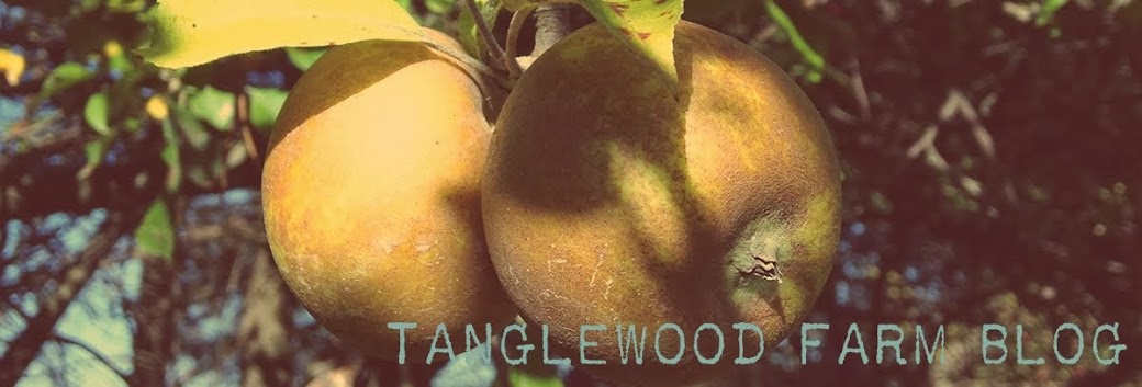 Tanglewood Farm - A Pinch of Something Nice