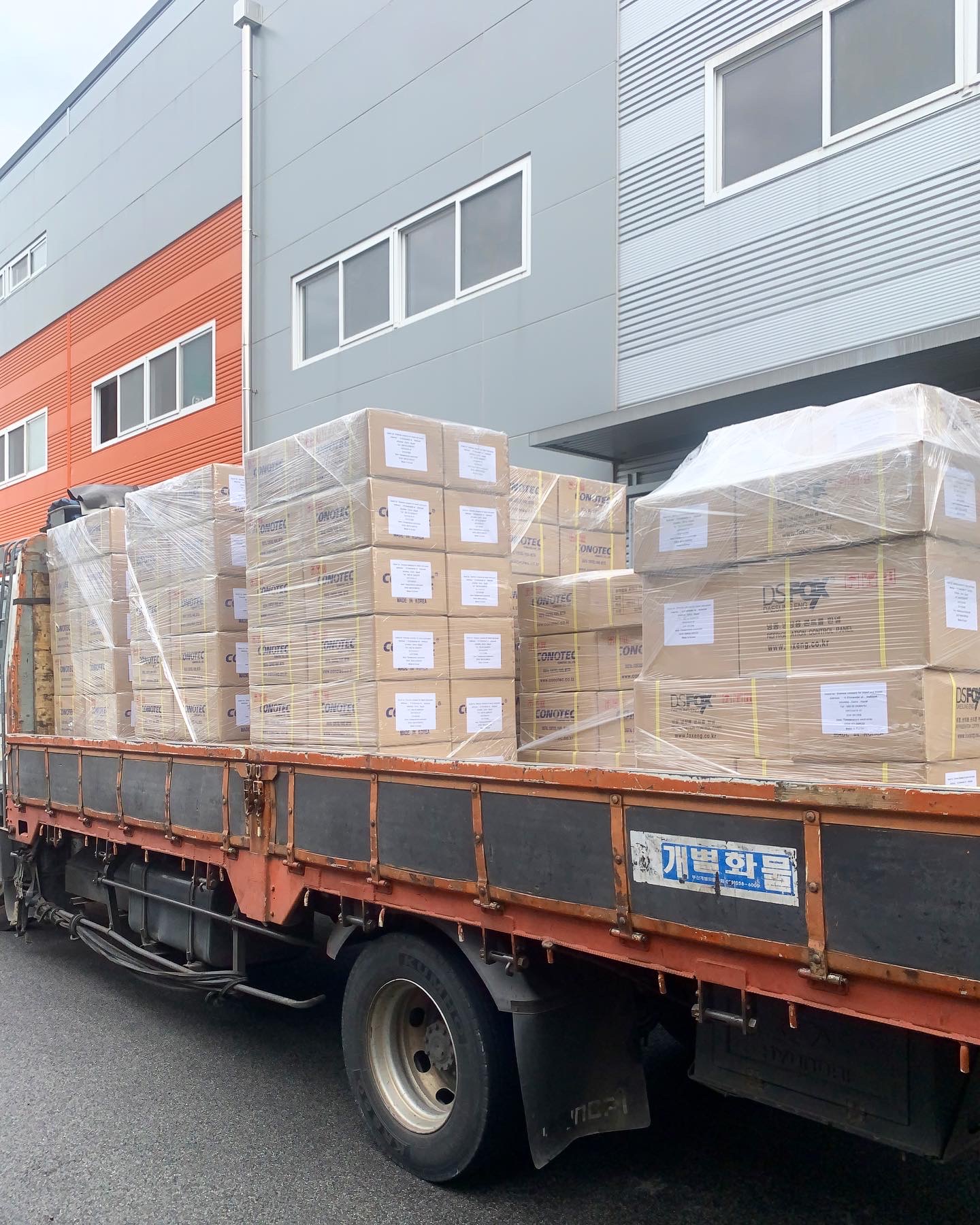 Export to Egypt conotec